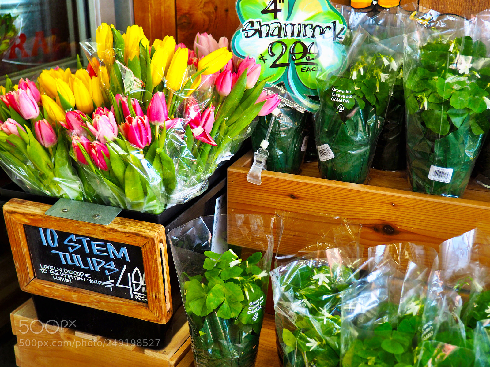 Olympus OM-D E-M10 II sample photo. Traders photography