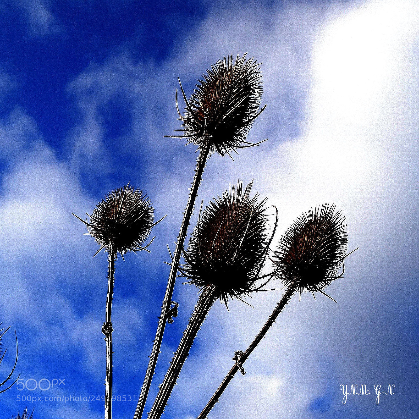 Sony Cyber-shot DSC-RX100 II sample photo. () cvp lot photography