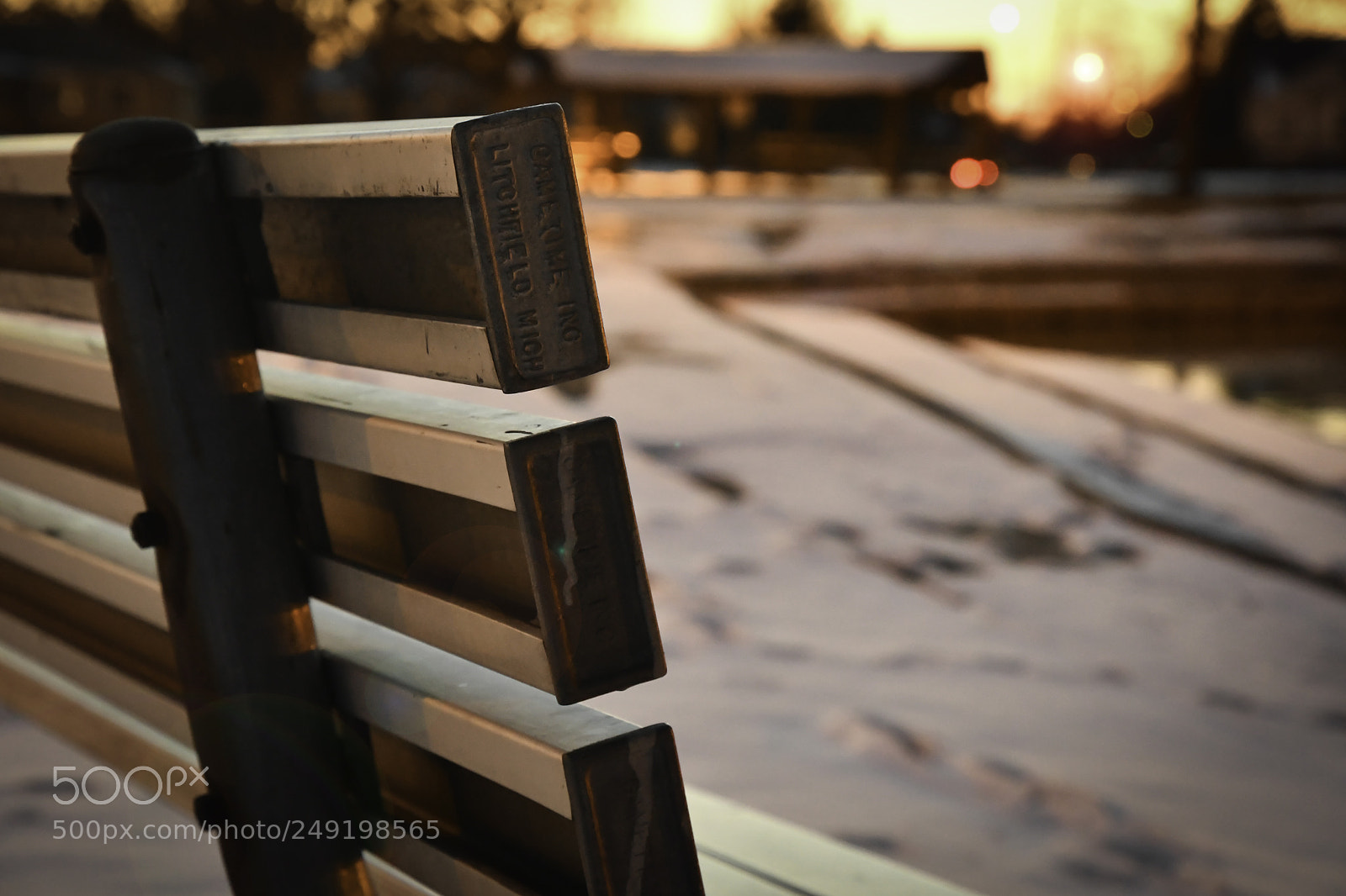 Nikon D500 sample photo. Untitled photography