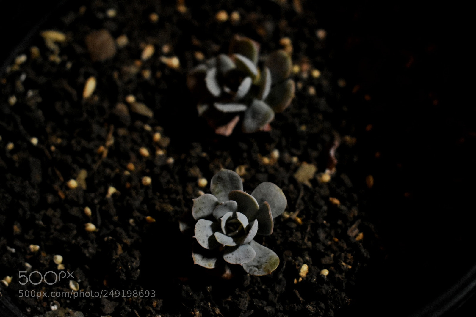 Nikon D3400 sample photo. Nature photography