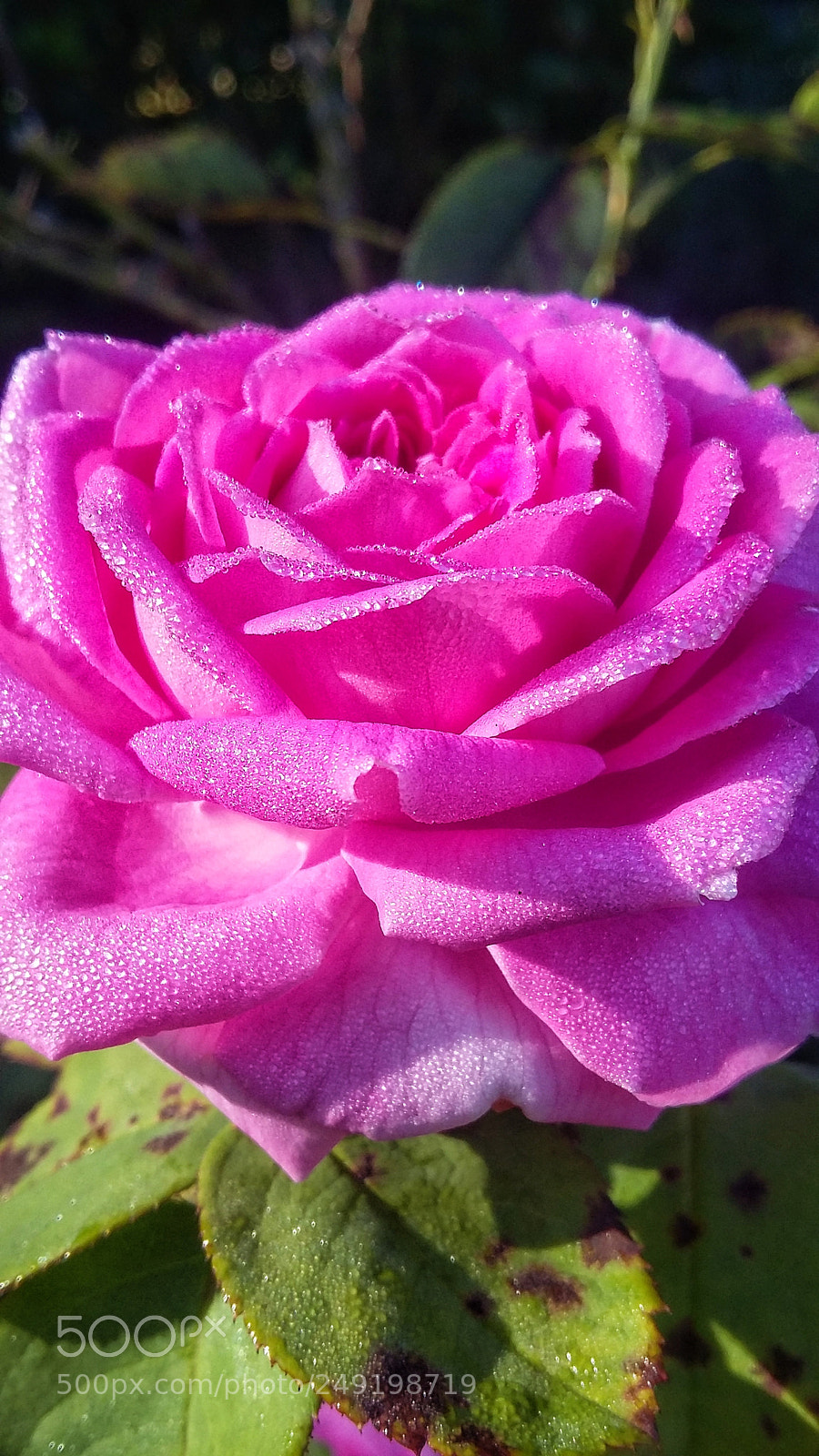 Samsung Galaxy Grand Prime sample photo. Rocío photography