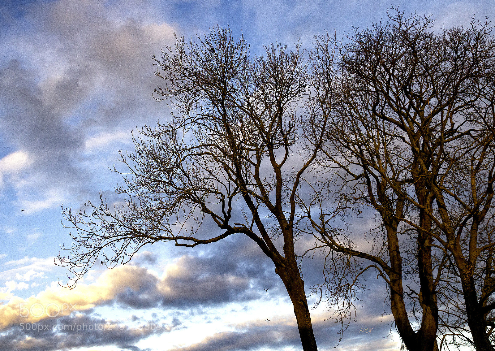 Canon EOS 1200D (EOS Rebel T5 / EOS Kiss X70 / EOS Hi) sample photo. End of day light. photography