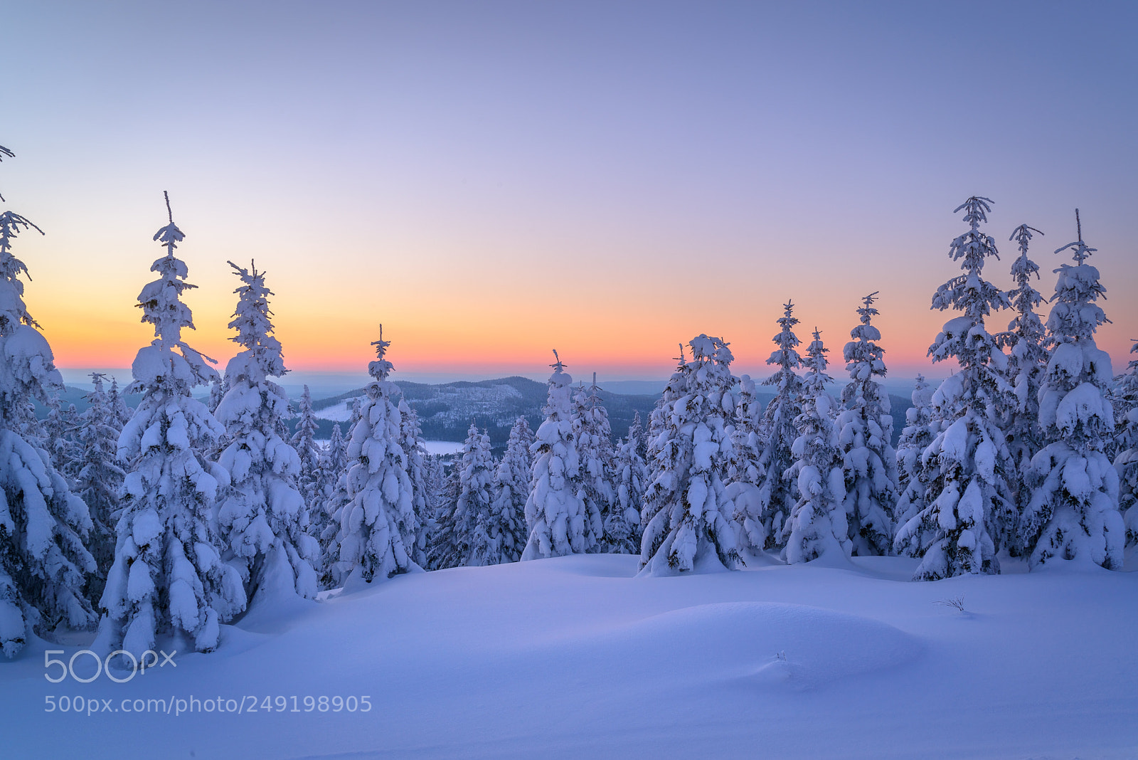 Nikon D610 sample photo. Säliträdberget photography