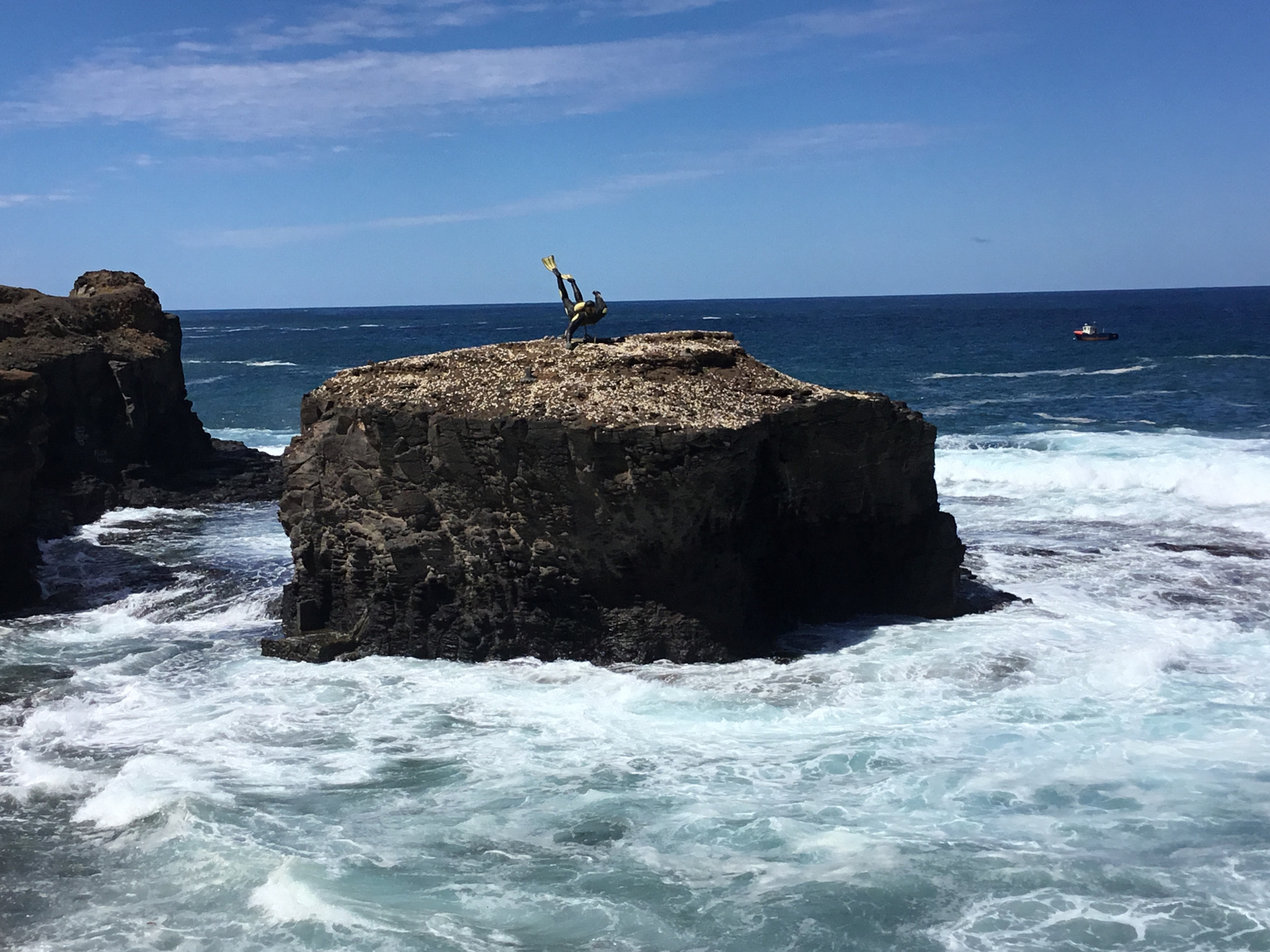 Apple iPad (5th generation) sample photo. Diver in the air photography