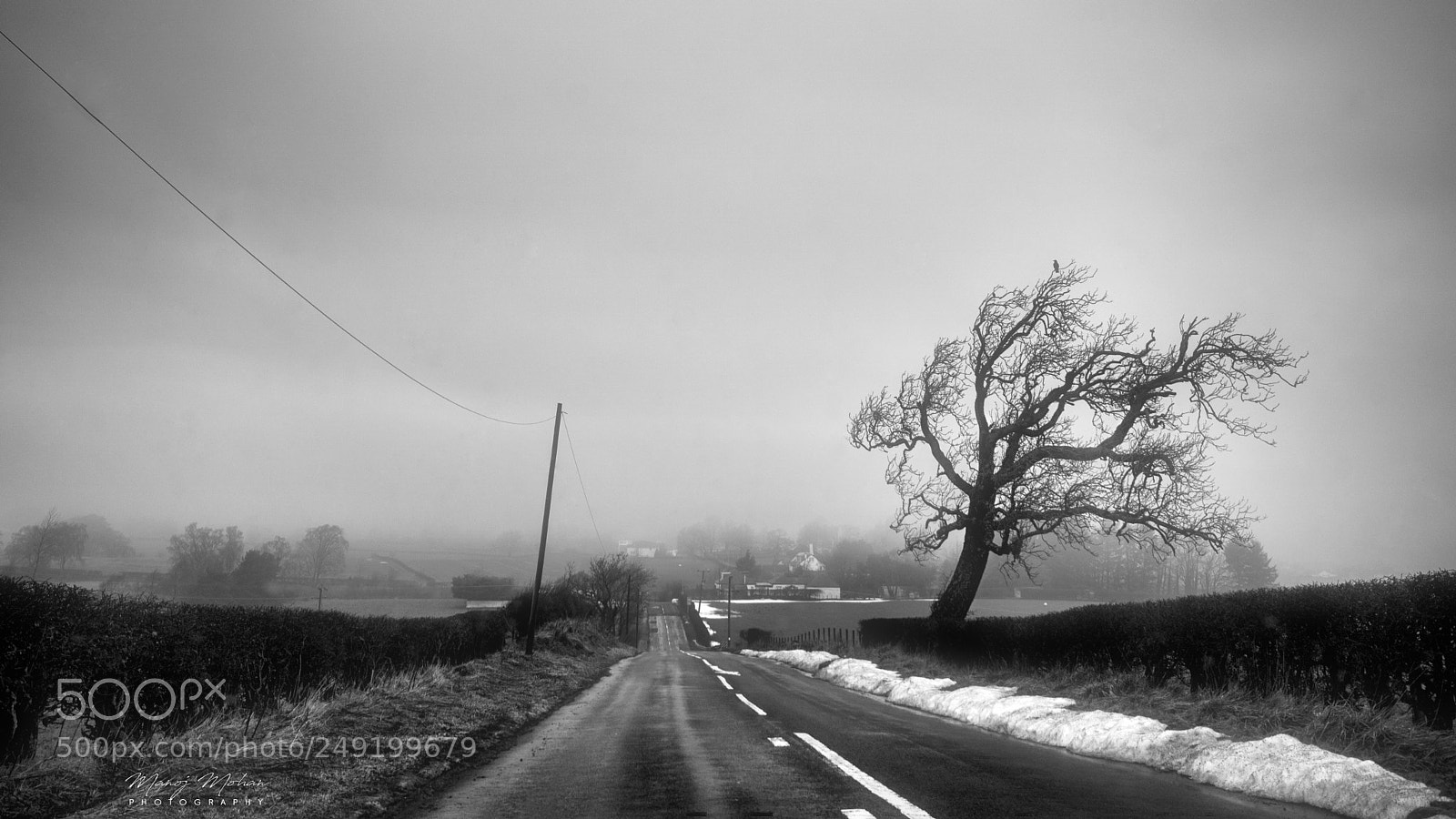Sony ILCA-77M2 sample photo. The road into mist photography