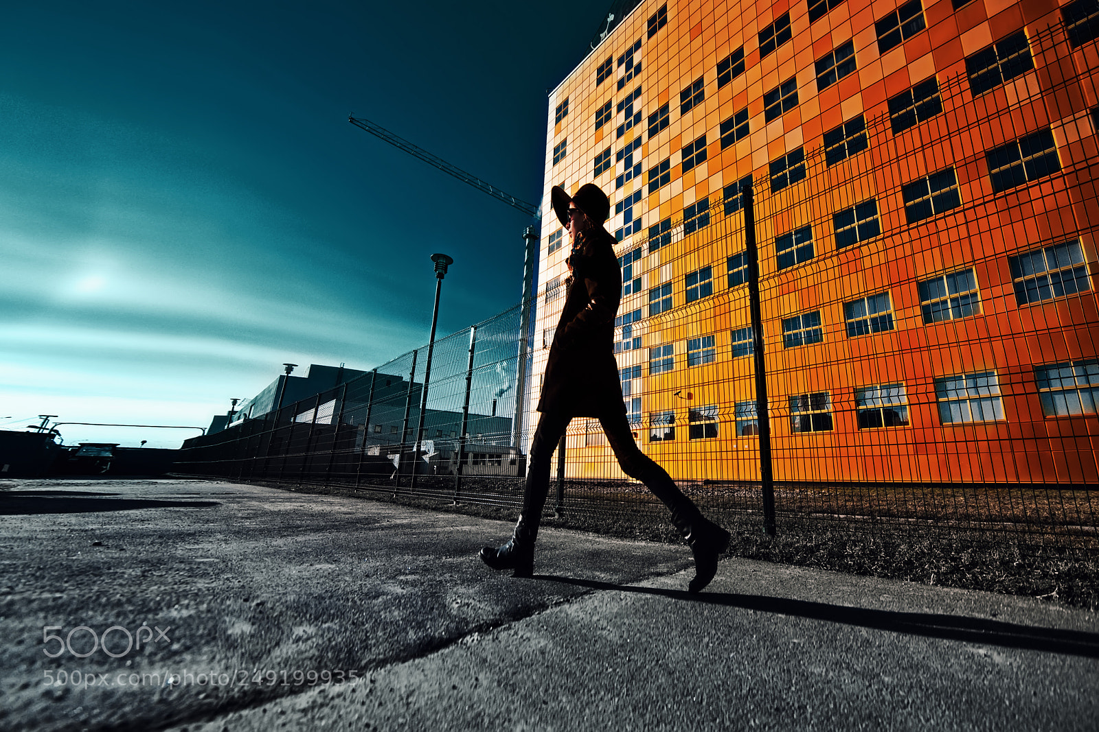 Nikon D600 sample photo. The girl in the photography