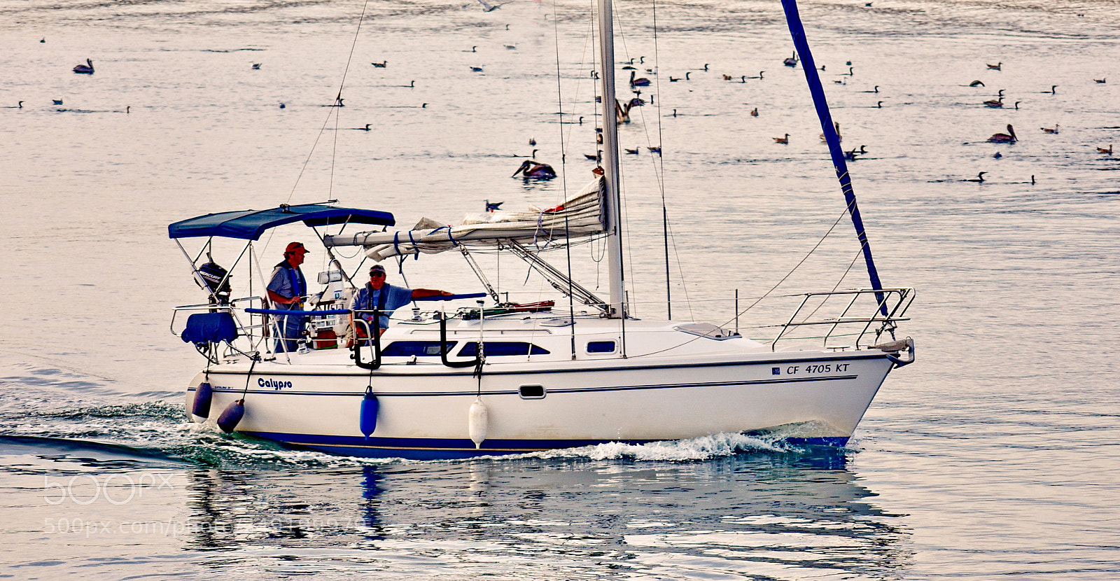 Nikon D7200 sample photo. Sailboat crossing the morning photography