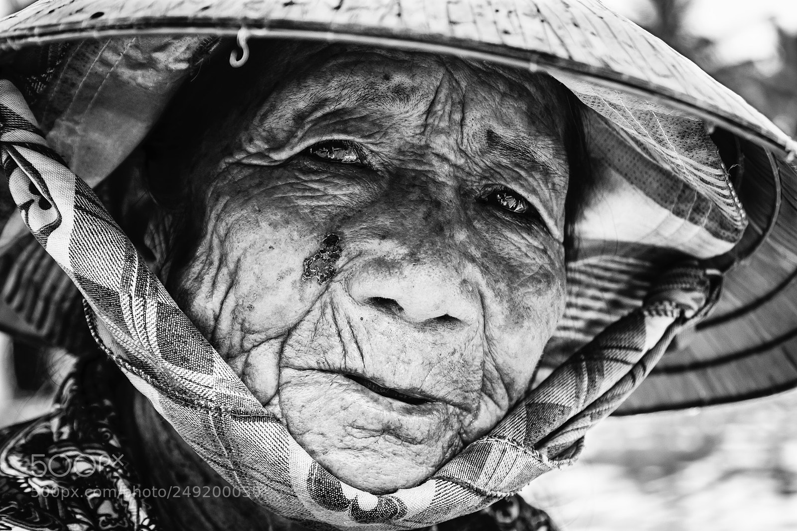 Canon EOS 50D sample photo. Les yeux du vietnam photography