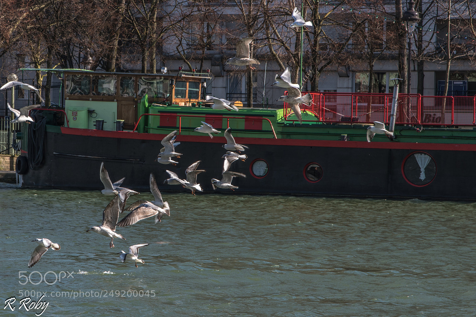 Nikon D5500 sample photo. Paris balade photography