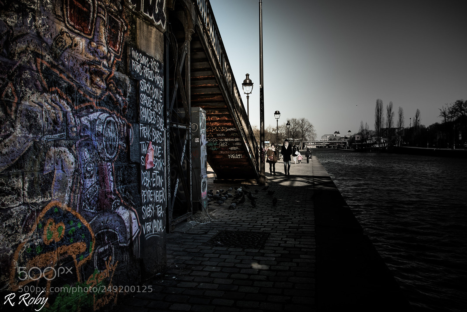 Nikon D5500 sample photo. Paris balade photography