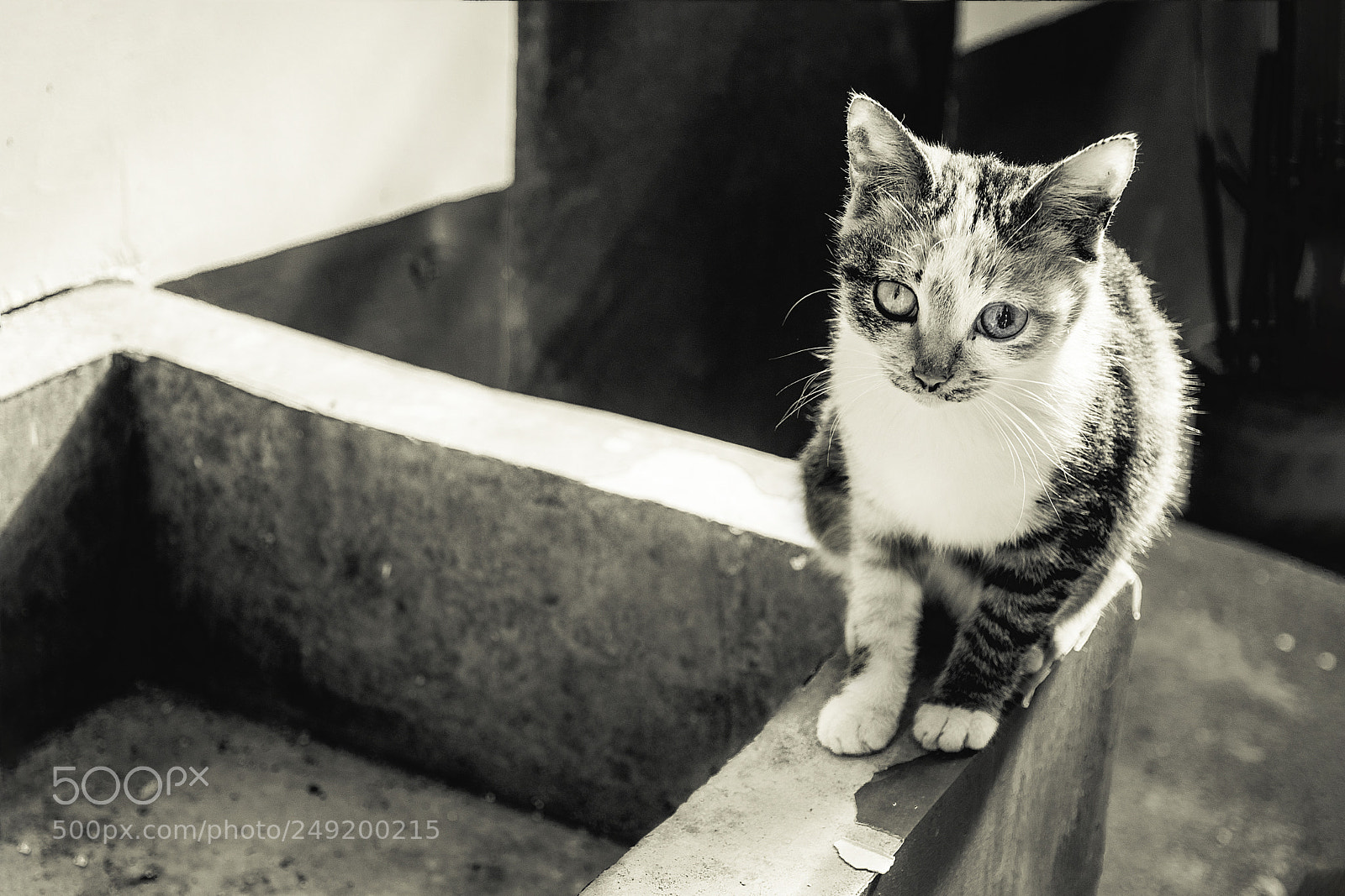Nikon D5600 sample photo. Untitled photography