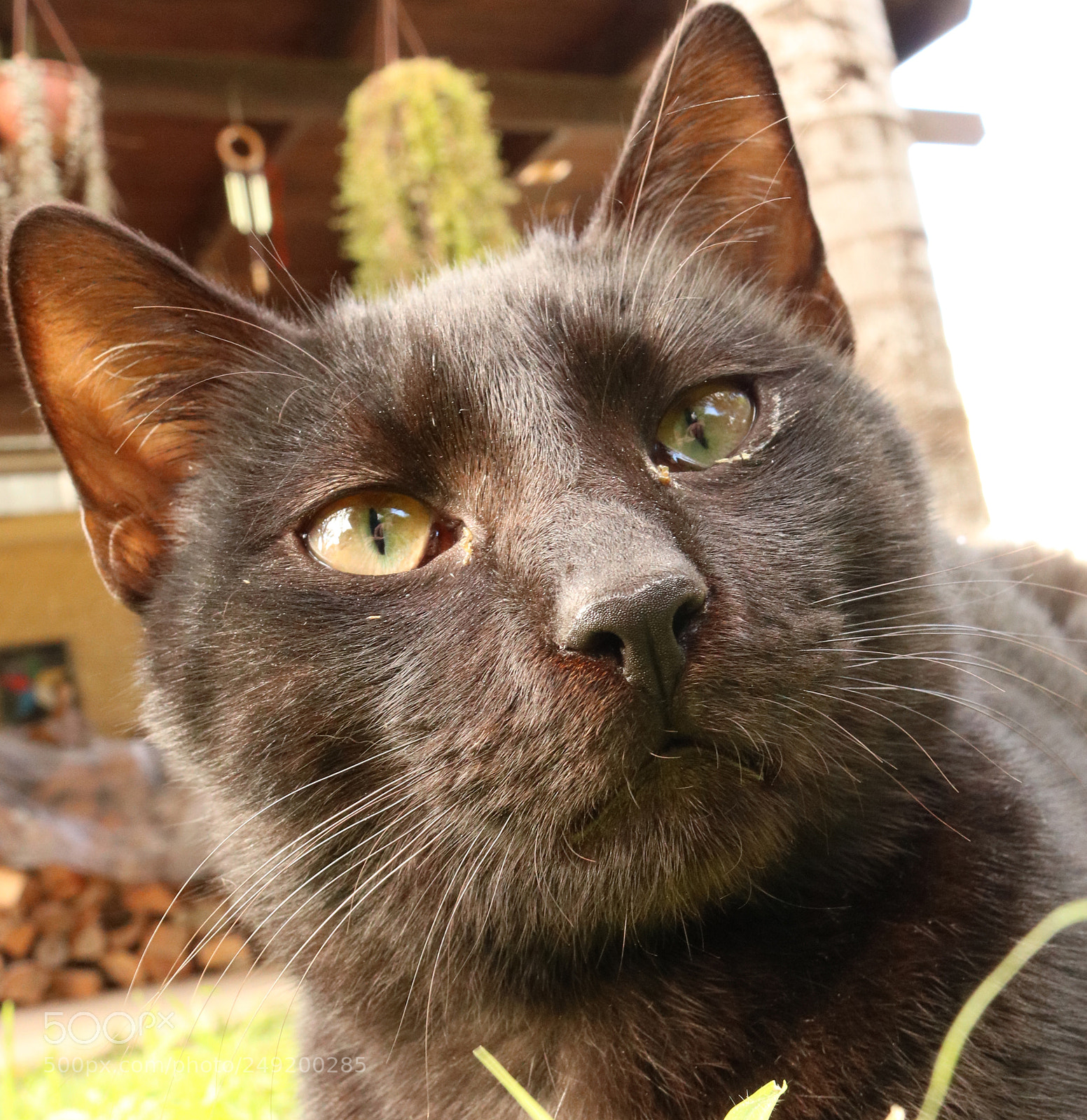 Canon EOS 750D (EOS Rebel T6i / EOS Kiss X8i) sample photo. Before washing my face photography