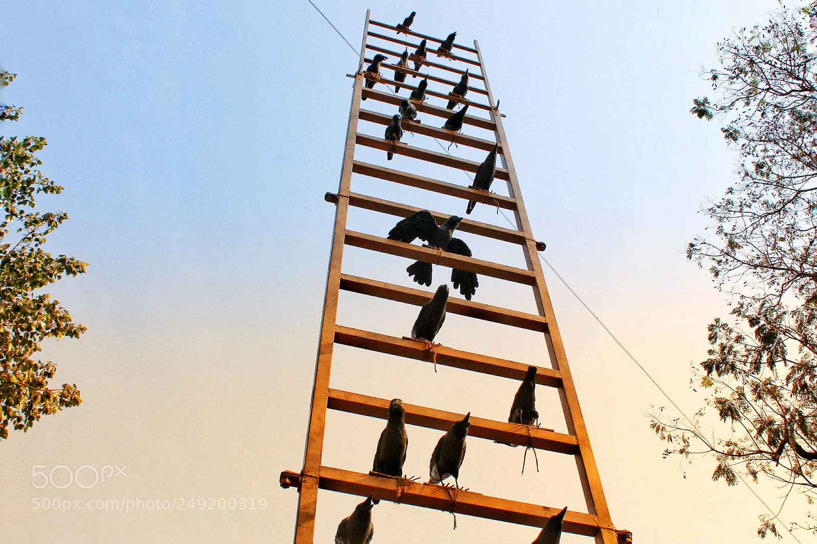 Canon EOS 1300D (EOS Rebel T6 / EOS Kiss X80) sample photo. The ladder to heaven photography