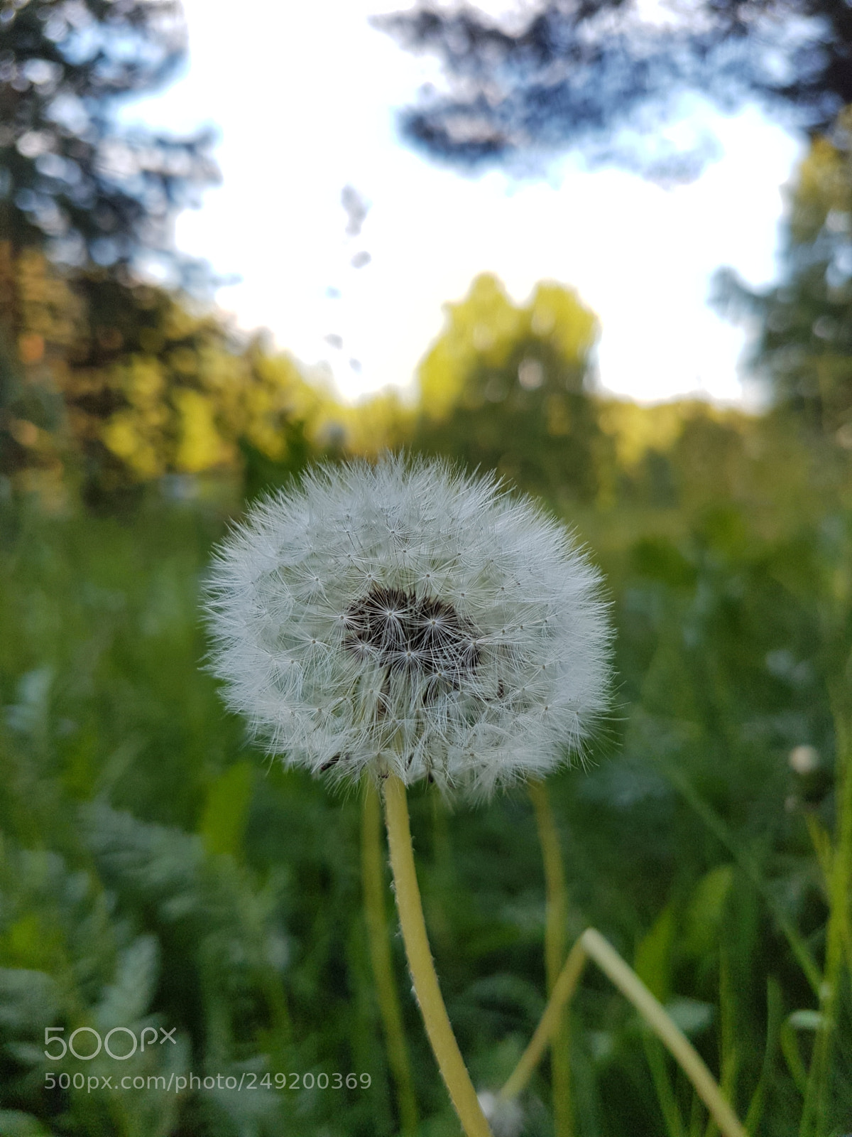 Samsung Galaxy S7 Edge sample photo. Untitled photography