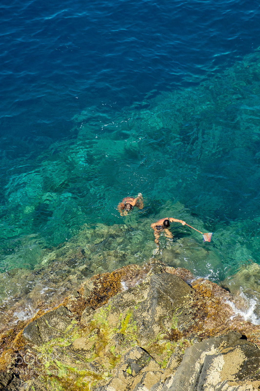Fujifilm X-T1 sample photo. Diving photography