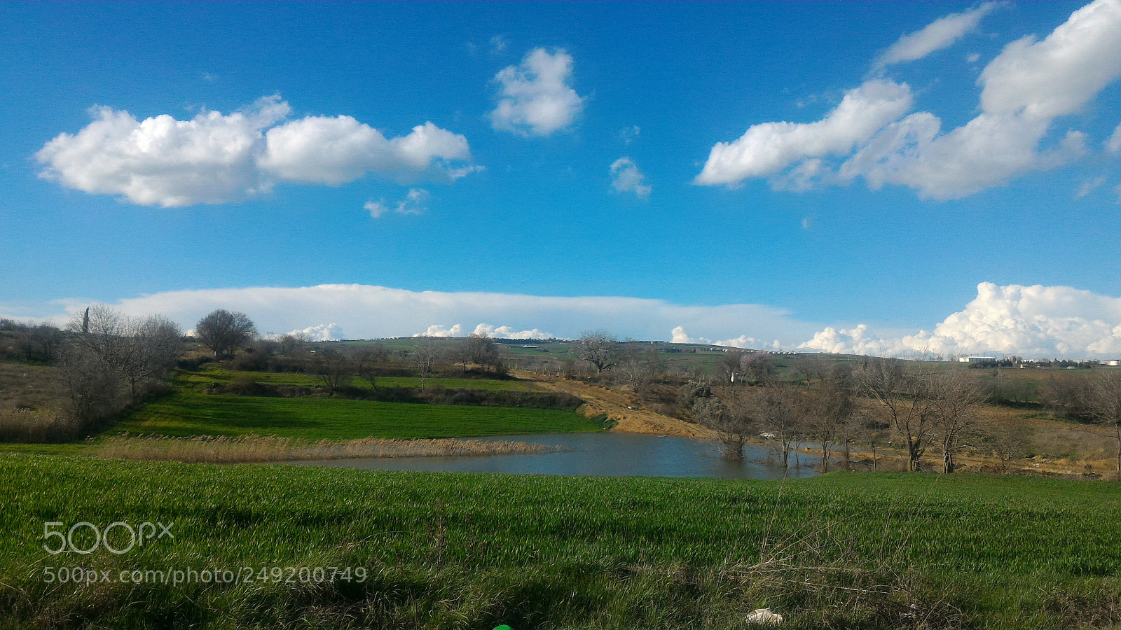 ASUS ZenFone 2 (ZE551ML) sample photo. Untitled photography