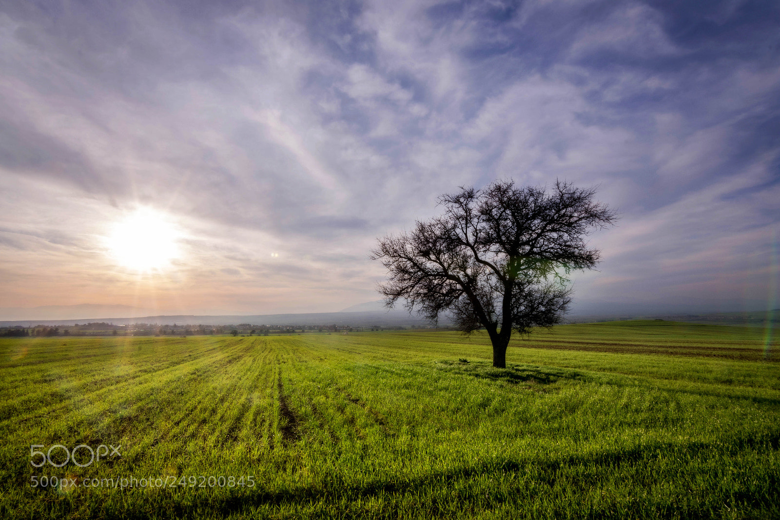 Nikon D7200 sample photo. The sun and the photography