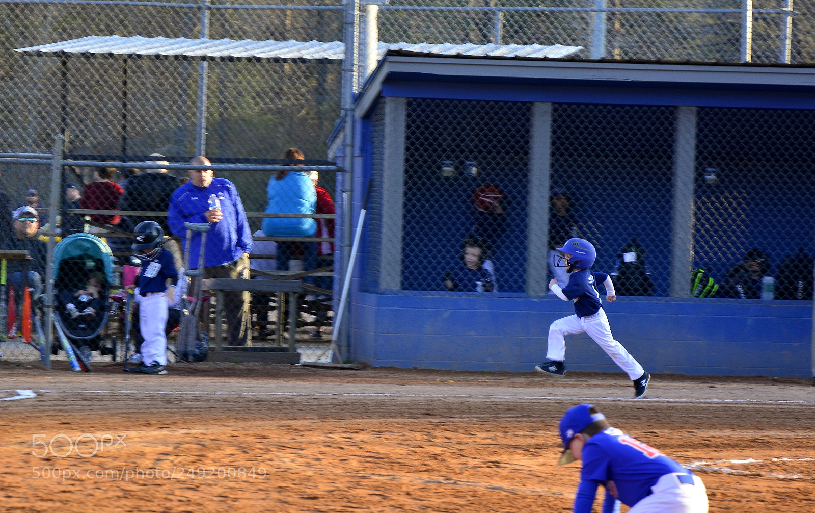 Nikon D7100 sample photo. Racing to the plate photography