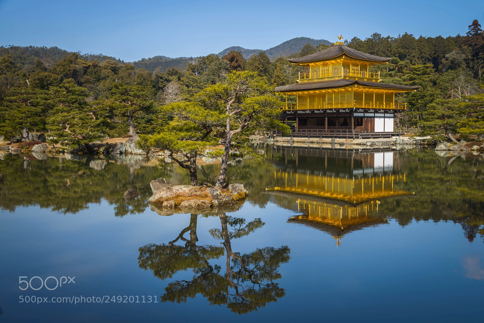 Nikon D800 sample photo. Golden pavilion of kyoto photography