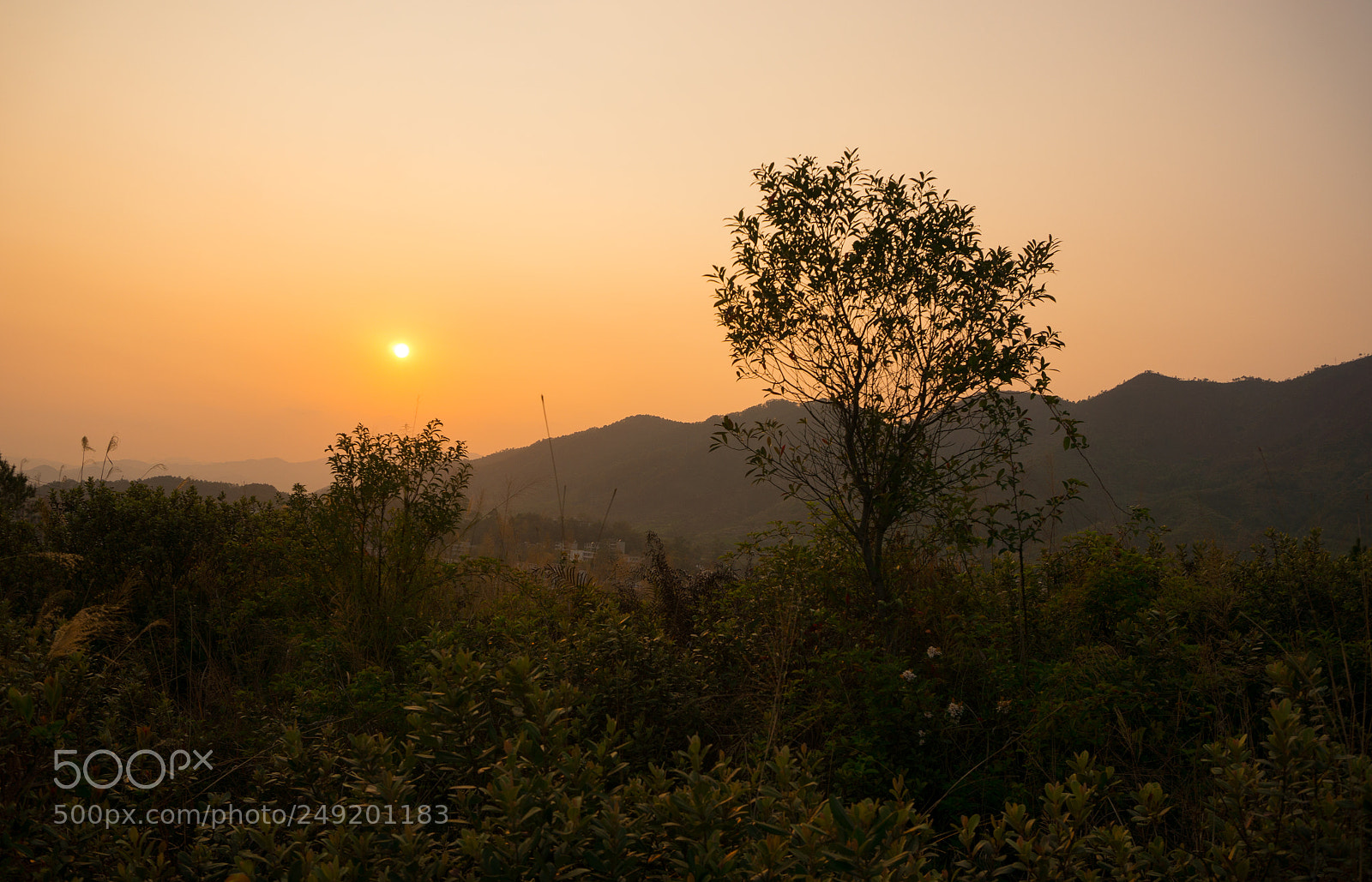 Sony Alpha NEX-6 sample photo. 家乡小景 photography