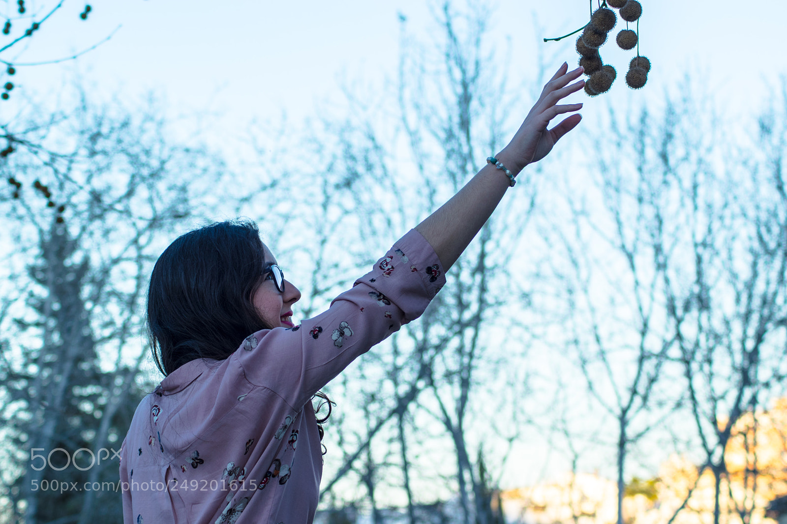 Nikon D5300 sample photo. Untitled photography