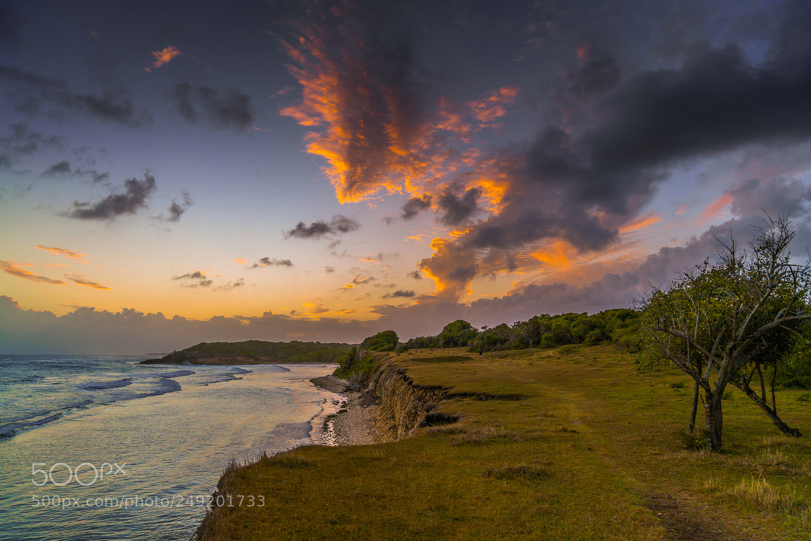 Sony a7R II sample photo. Guadeloupe photography