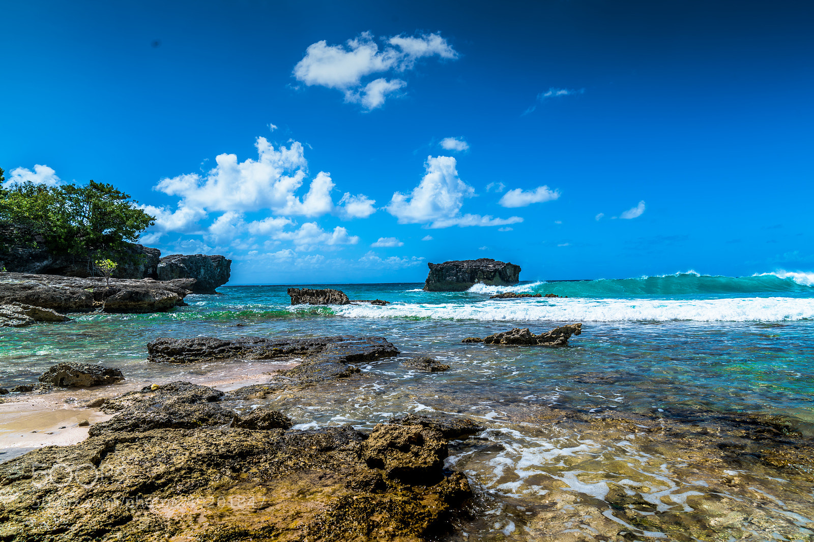 Sony a7R II sample photo. Dsc photography