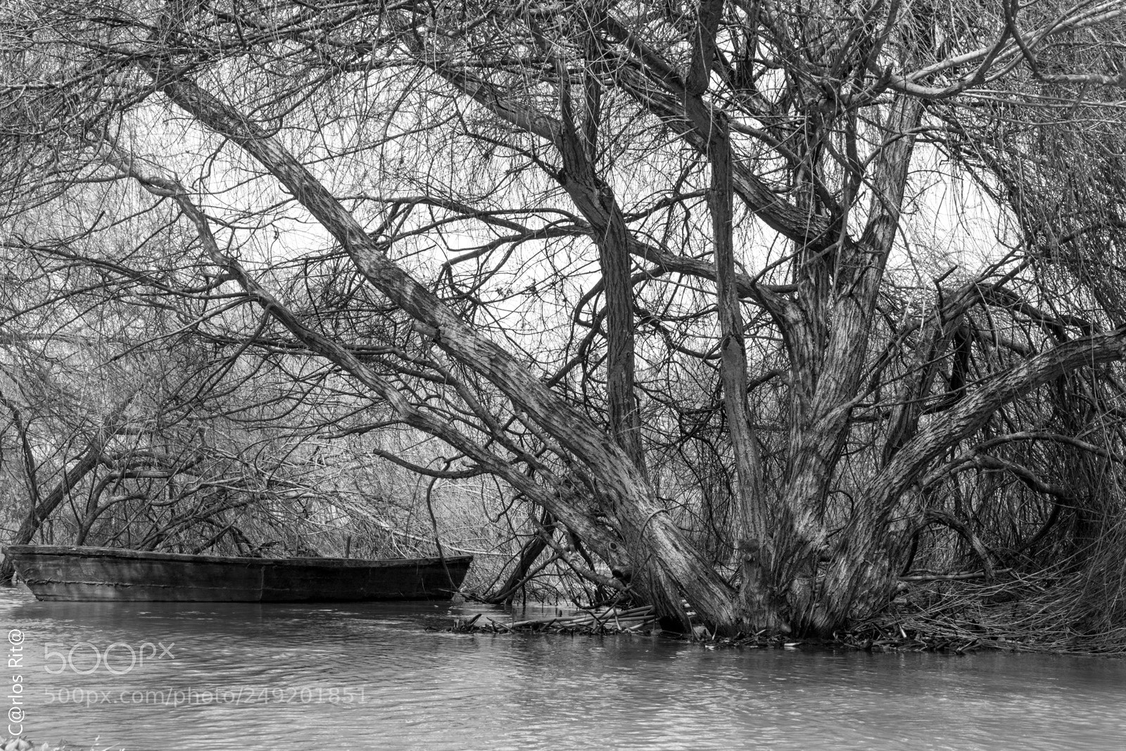 Canon EOS 700D (EOS Rebel T5i / EOS Kiss X7i) sample photo. Boat photography