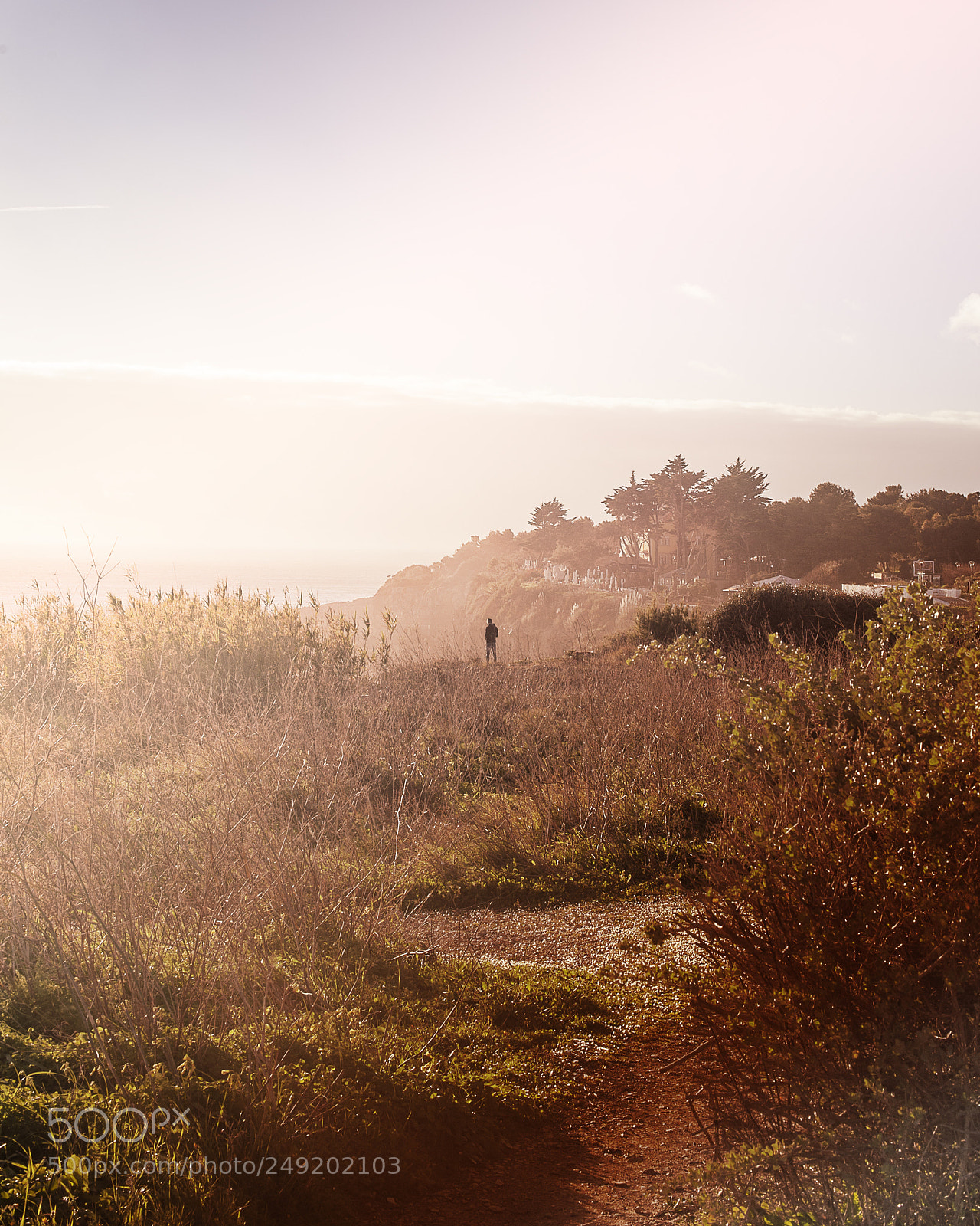 Nikon D700 sample photo. Abyssal photography