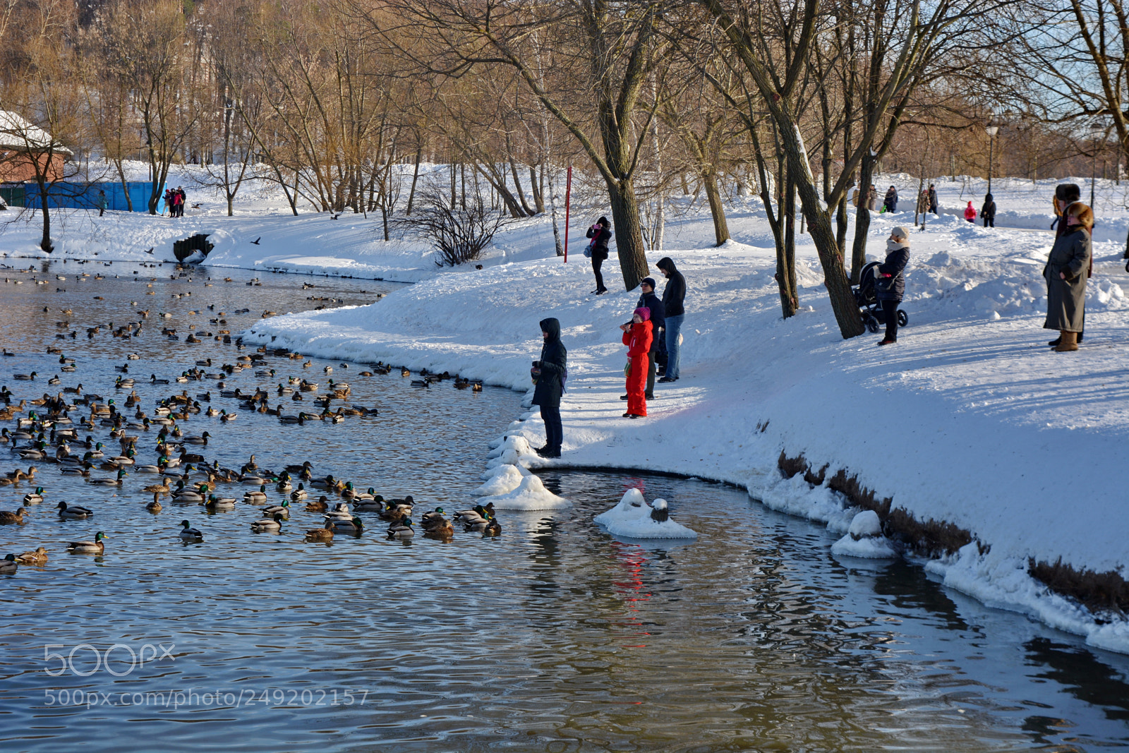 Nikon D5200 sample photo. Spring pond photography