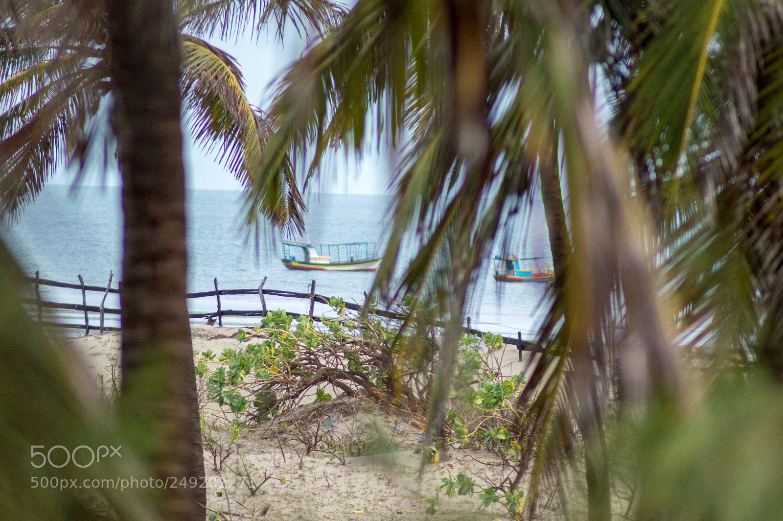 Nikon D3200 sample photo. Barcos ancorados photography
