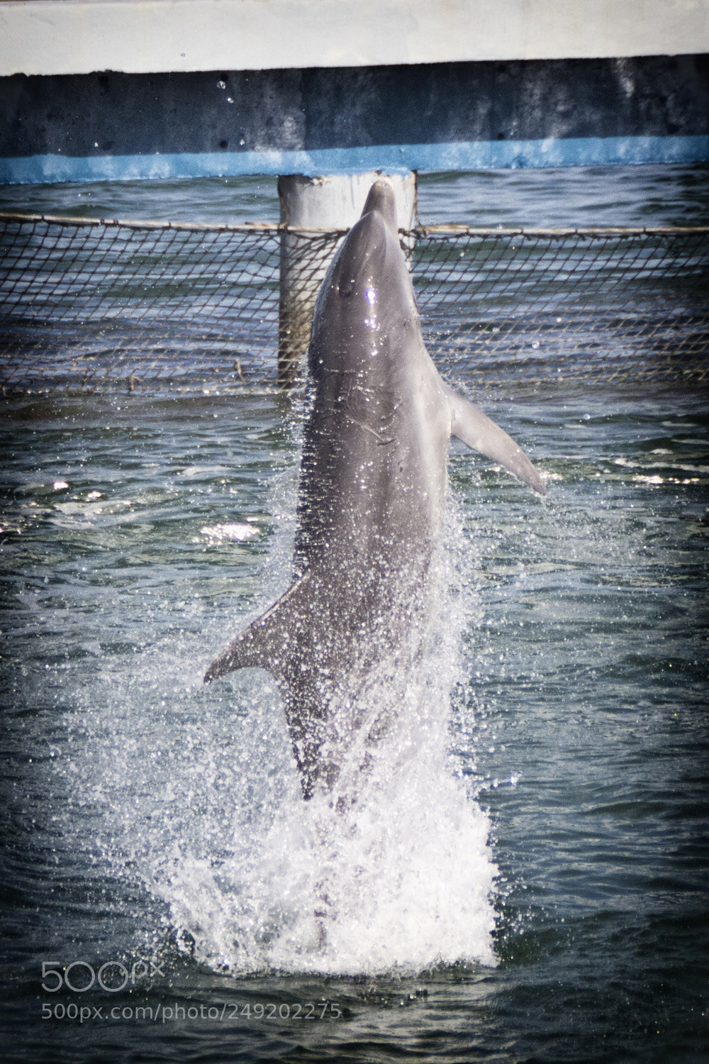 Canon EOS 60D sample photo. Jumping photography