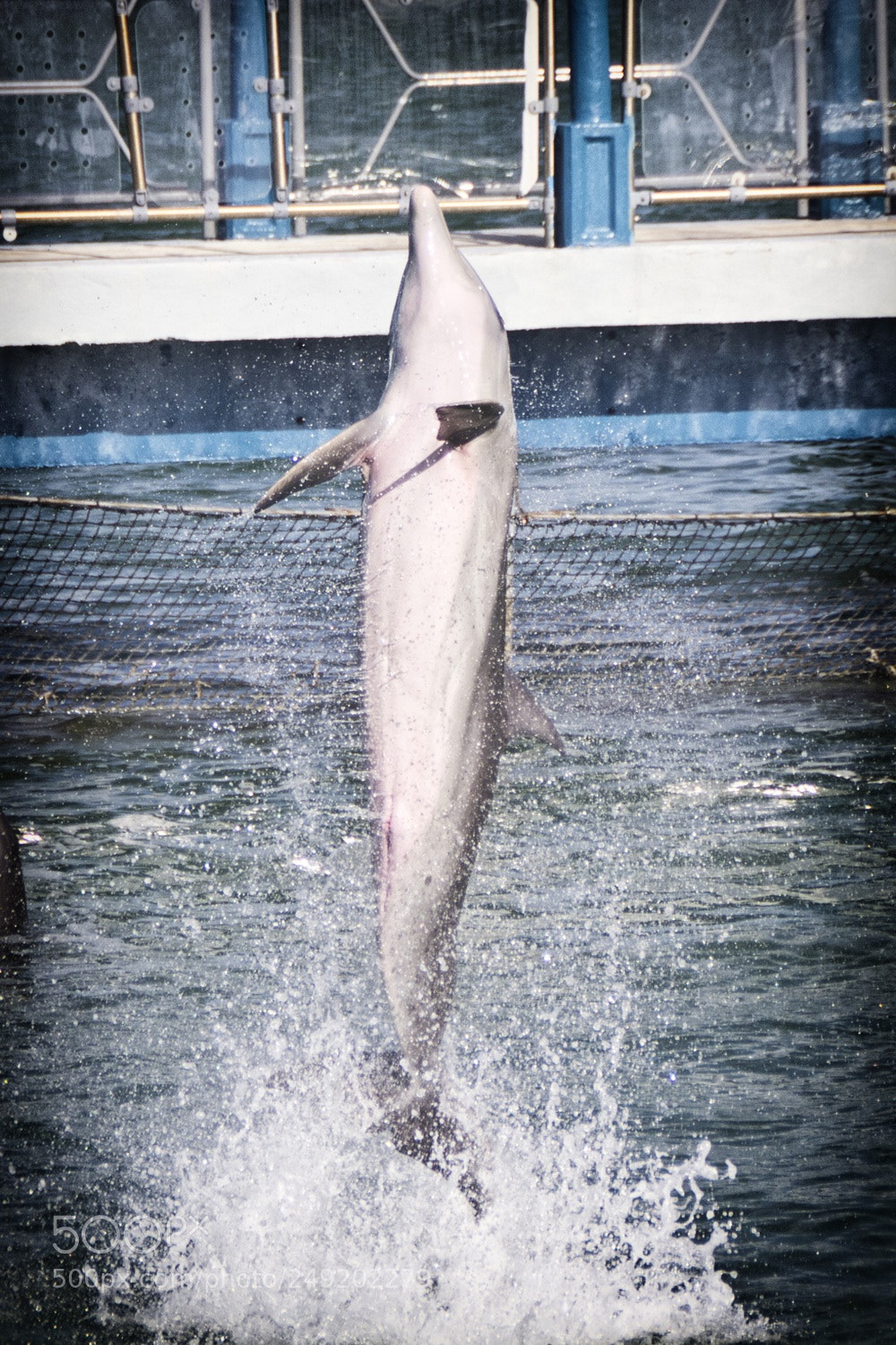 Canon EOS 60D sample photo. Jumping photography