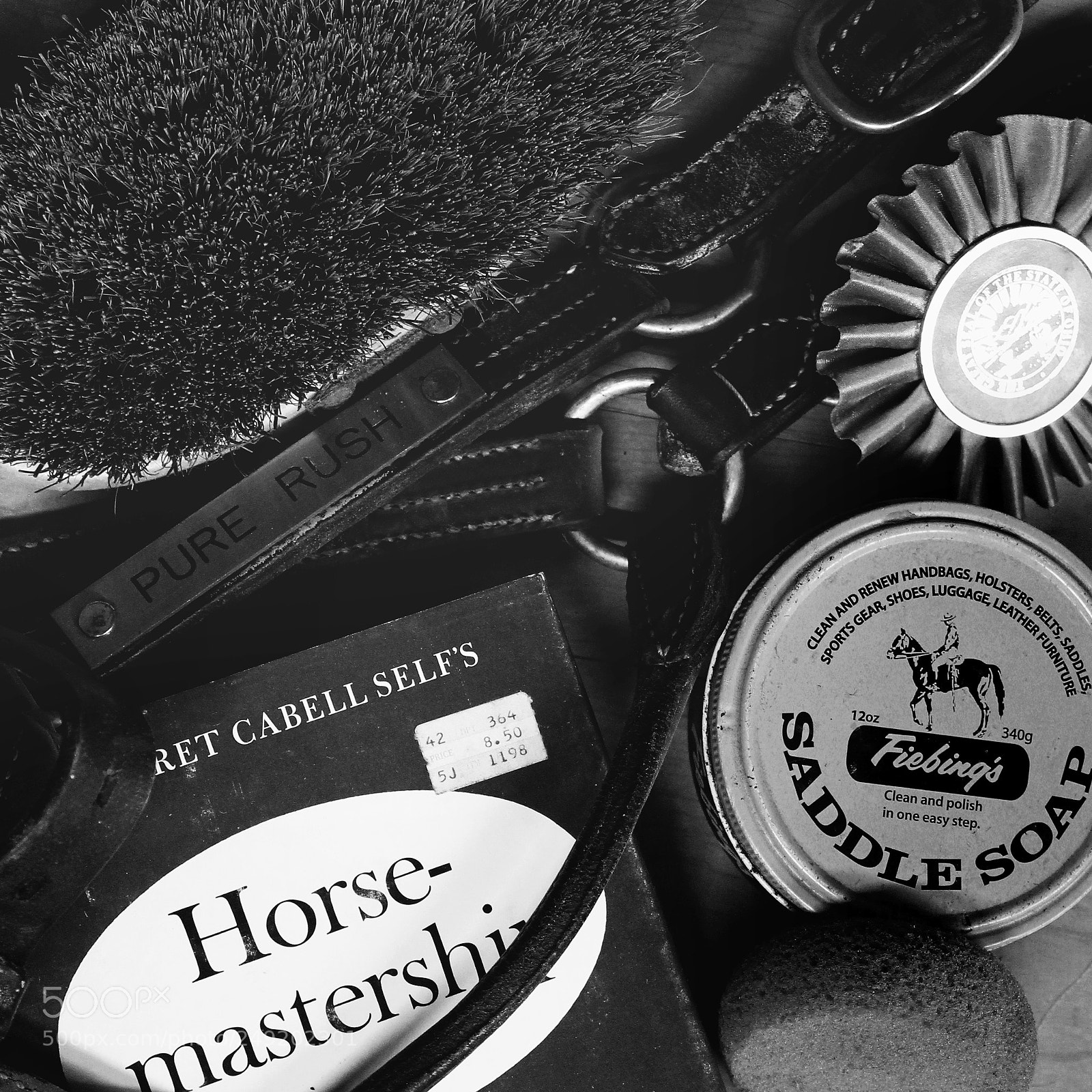 Canon EOS 1100D (EOS Rebel T3 / EOS Kiss X50) sample photo. Horse mastership photography
