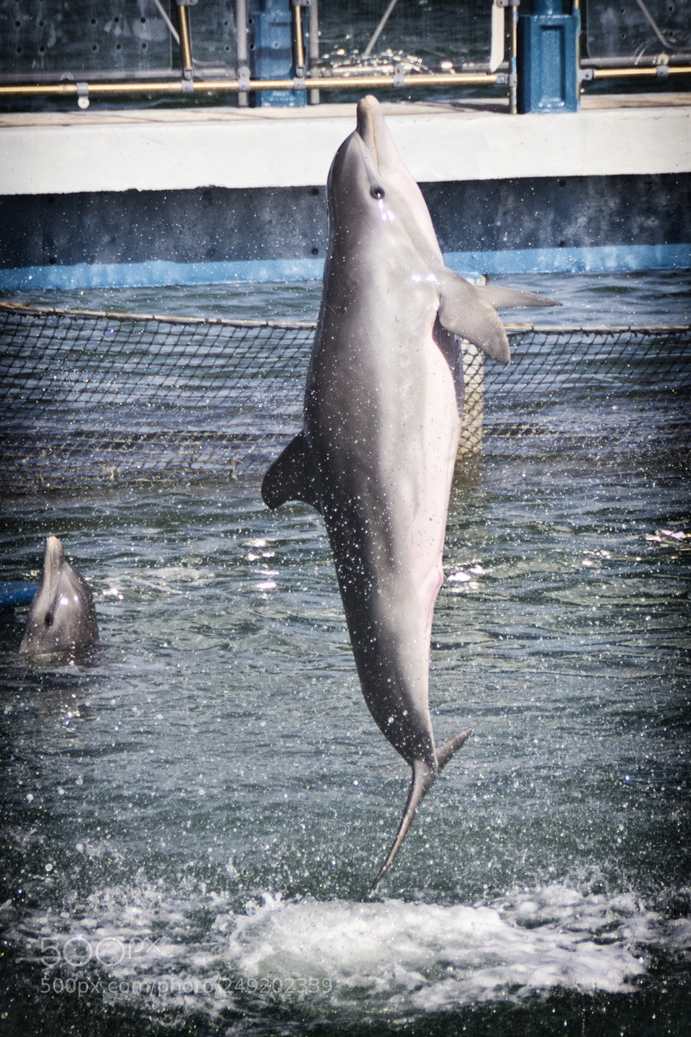 Canon EOS 60D sample photo. Jumping photography