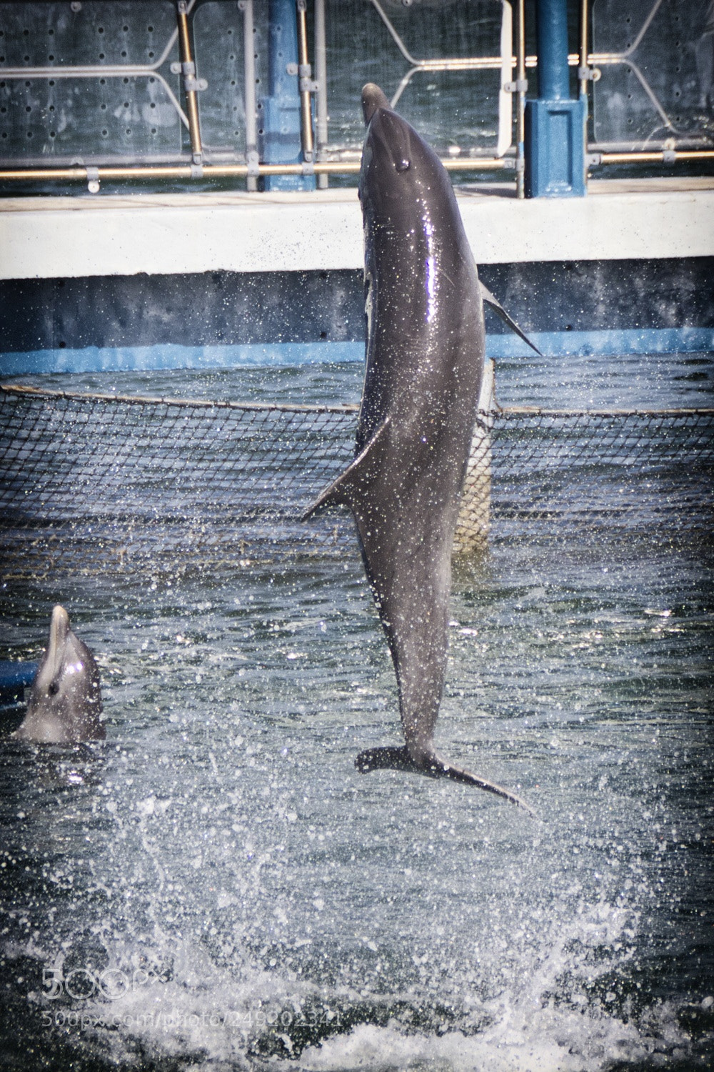 Canon EOS 60D sample photo. Jumping photography