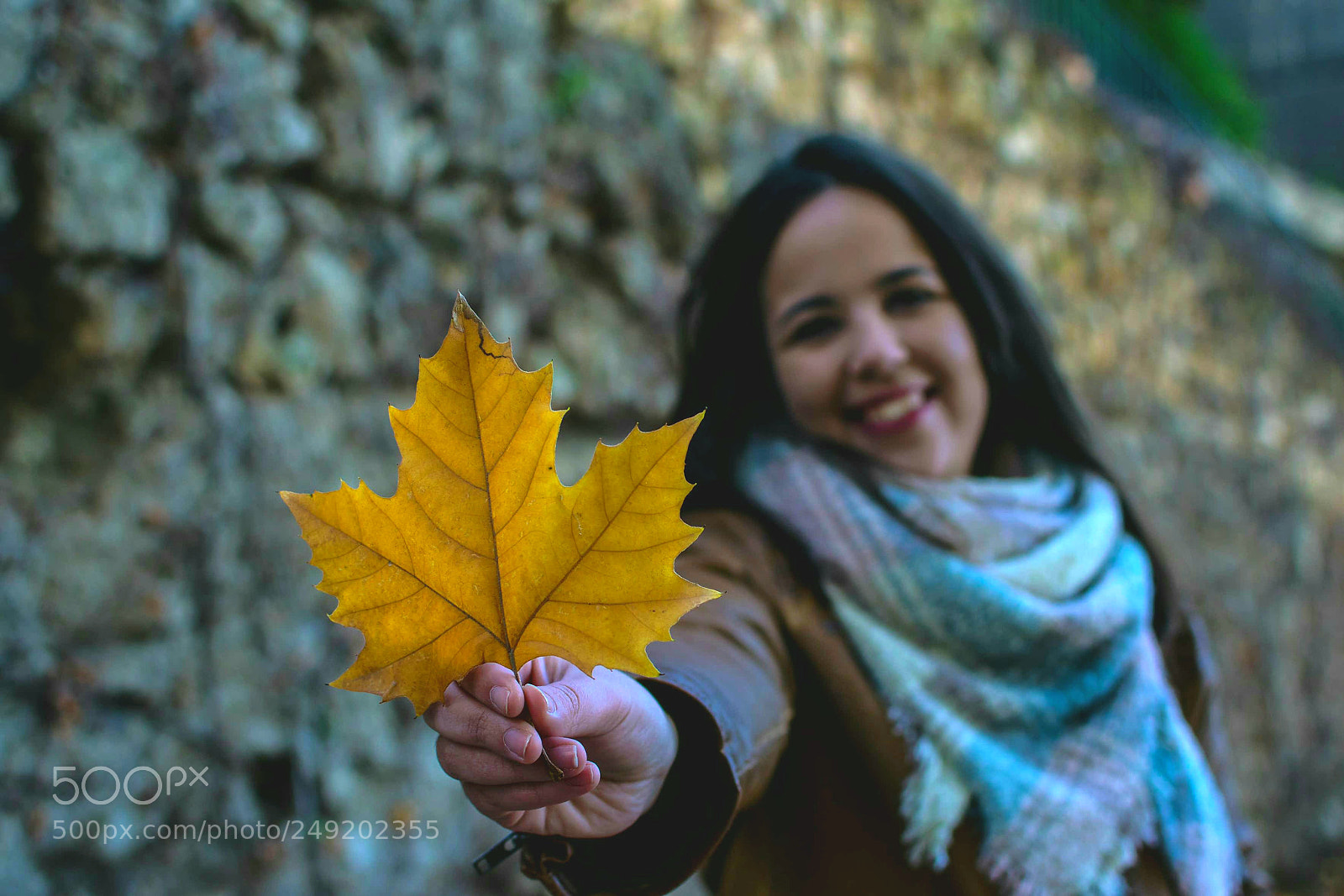 Nikon D5300 sample photo. Untitled photography