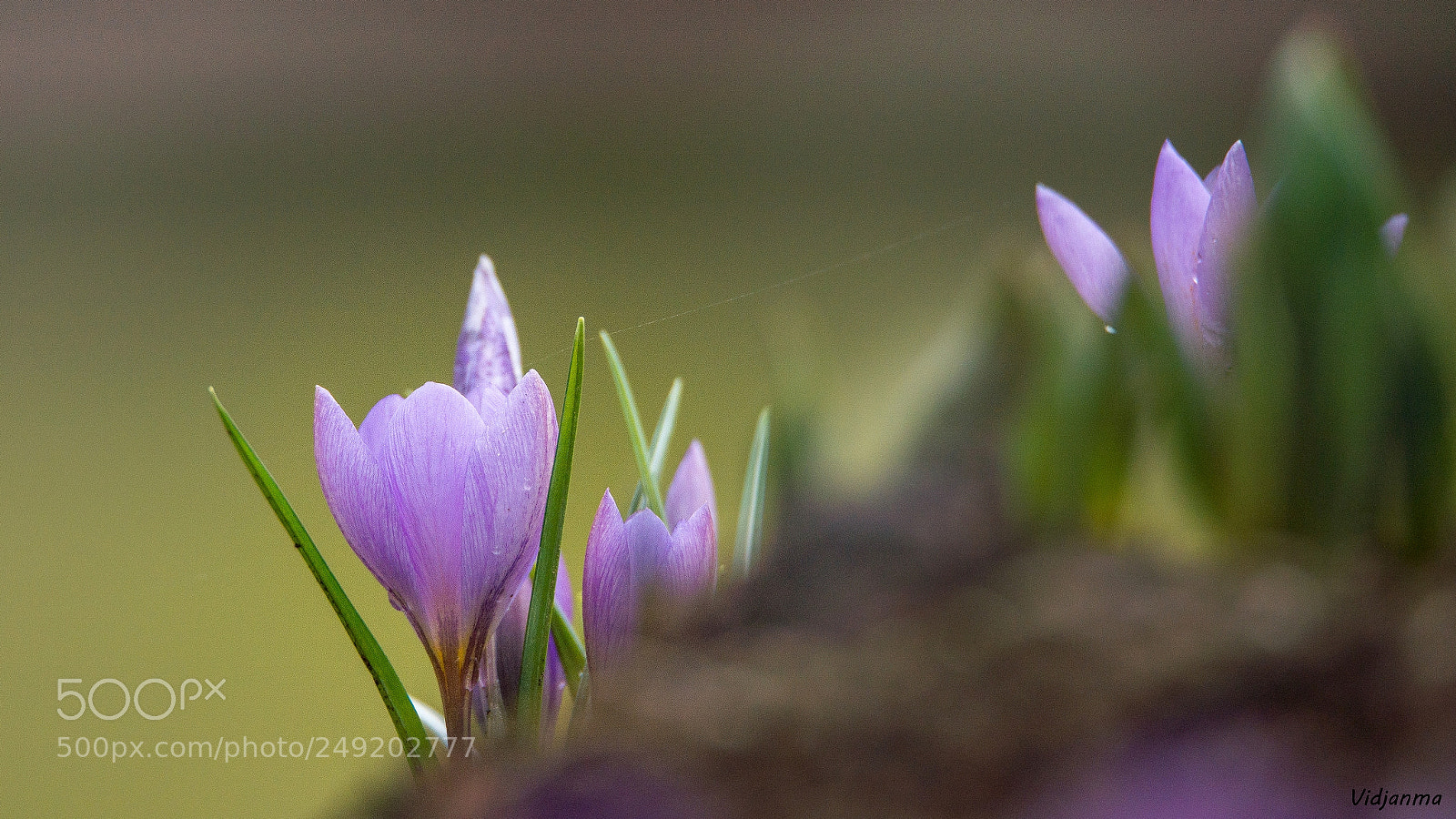 Nikon D610 sample photo. Emerging photography