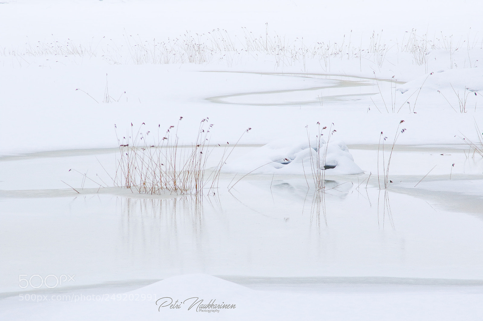 Canon EOS 7D Mark II sample photo. White photography