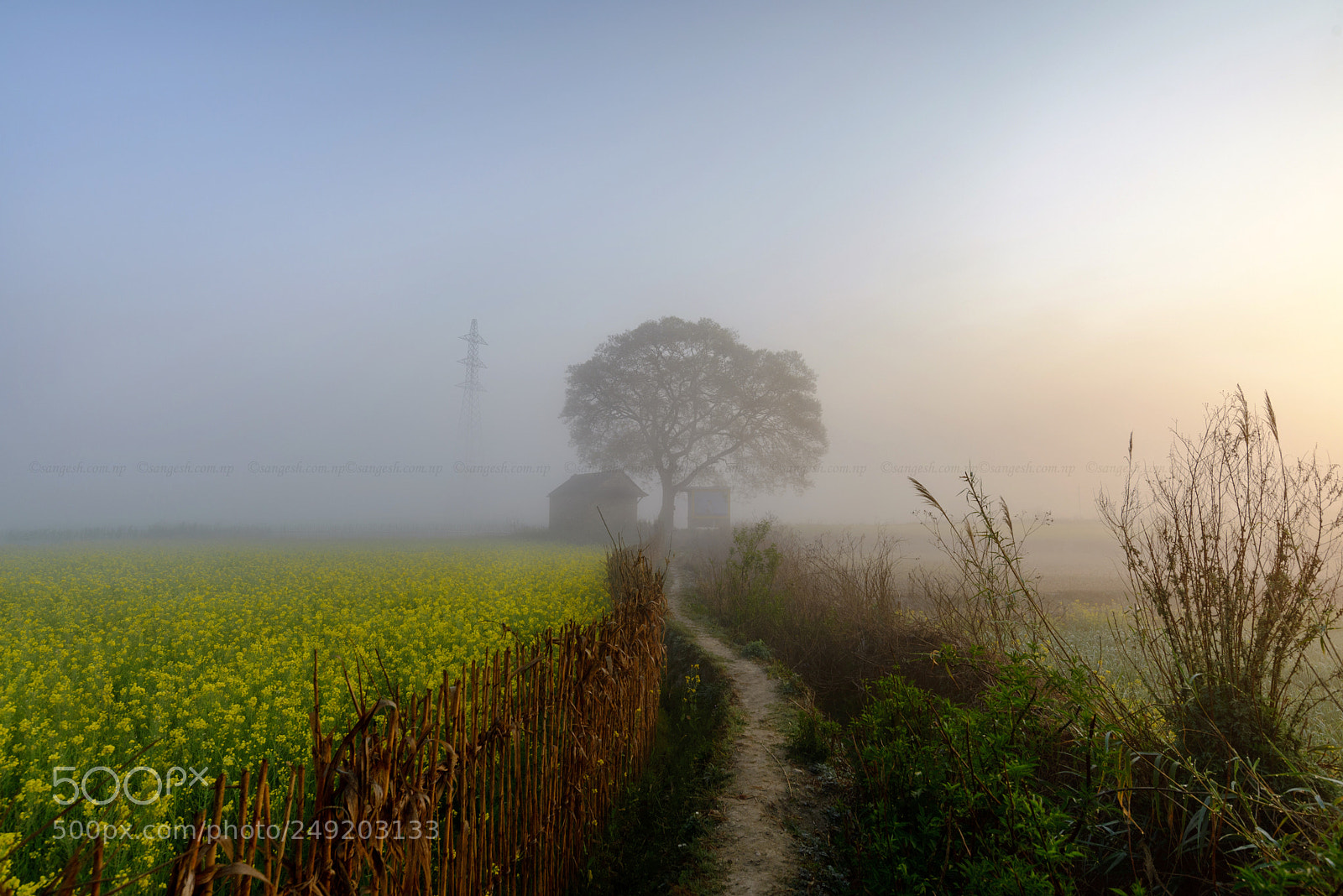 Nikon D600 sample photo. Landmark of khokaha photography