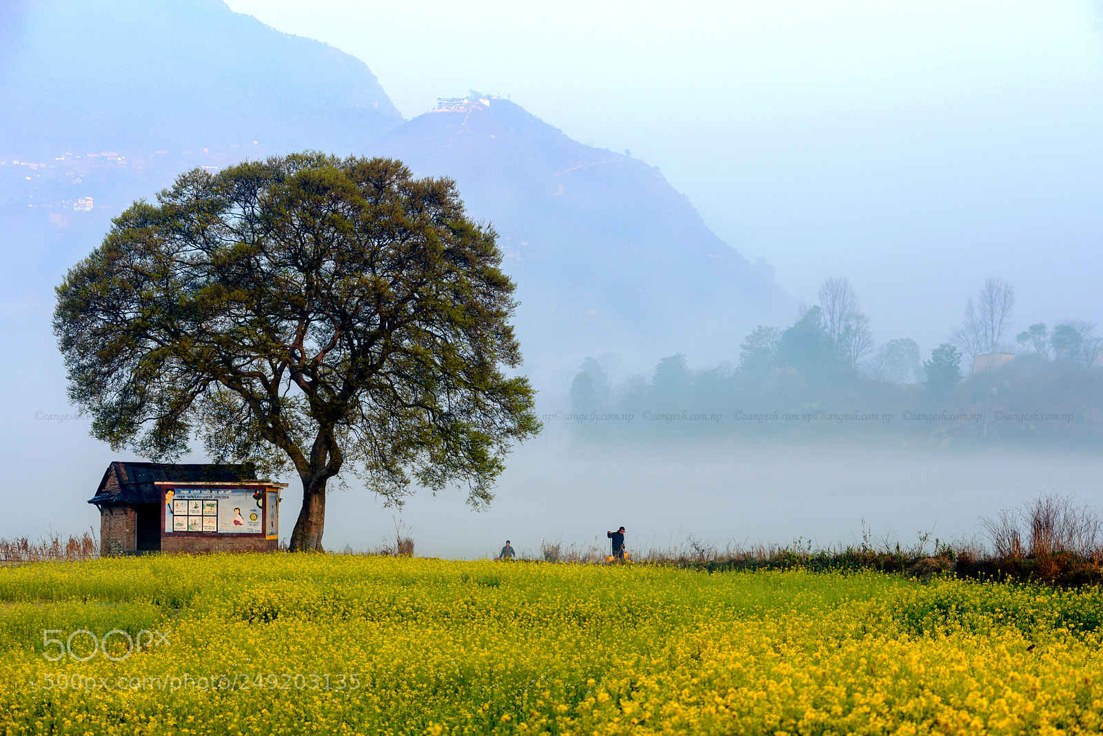 Nikon D600 sample photo. Landmark of khokaha photography