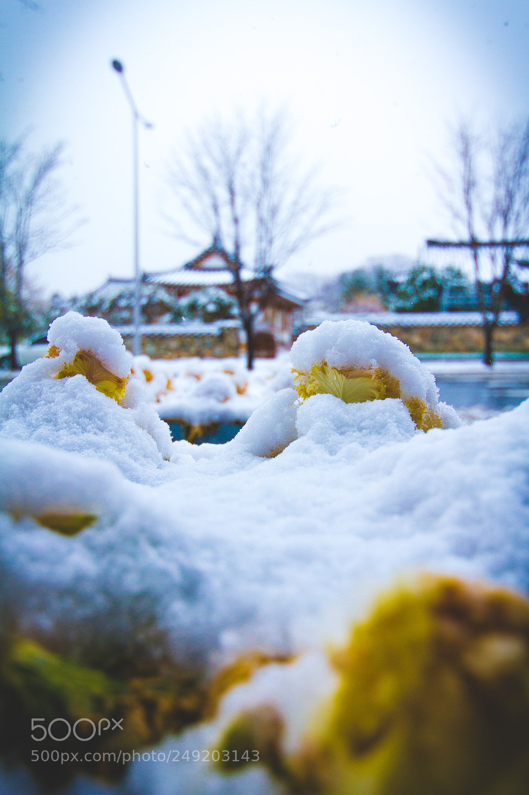 Canon EOS 7D sample photo. Snow photography