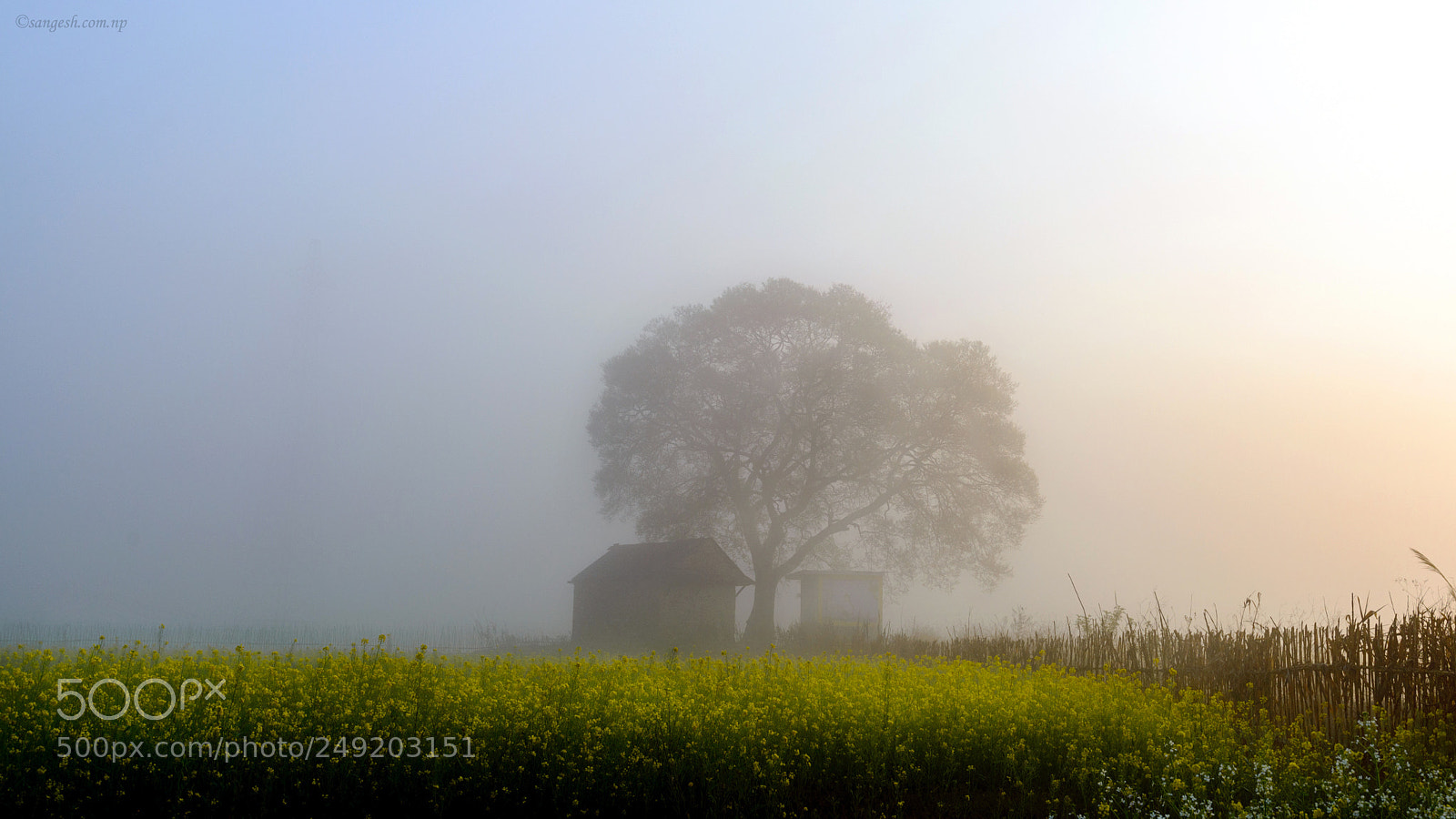 Nikon D600 sample photo. Landmark of khokaha photography