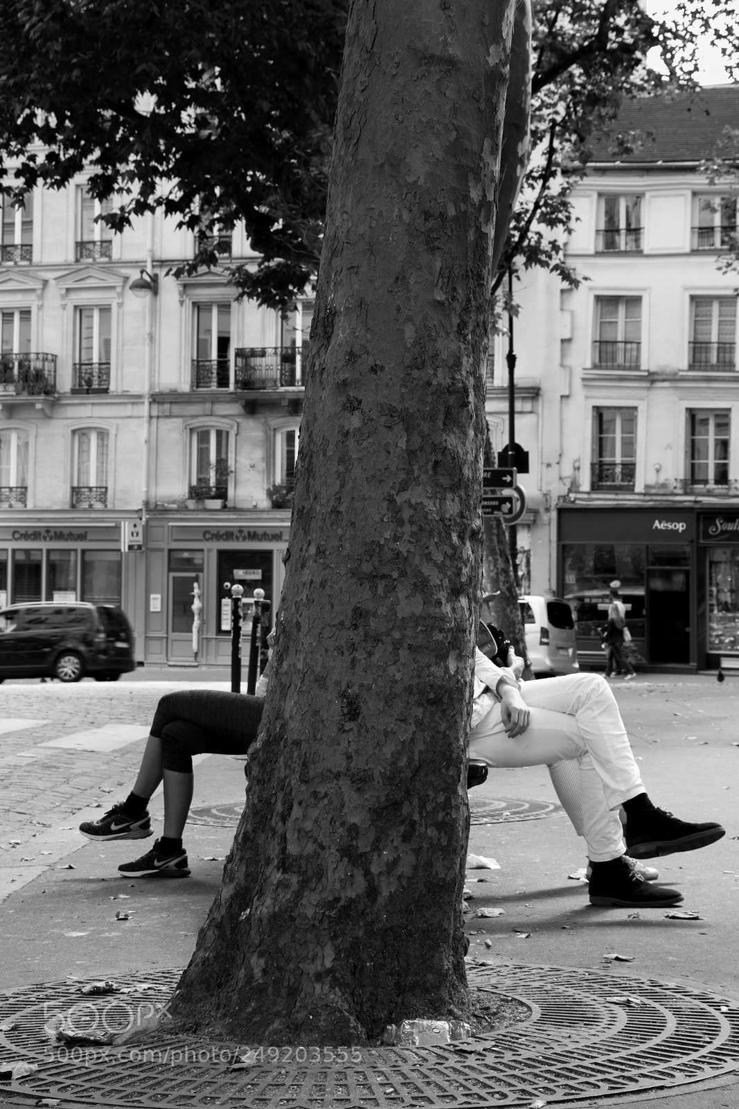 Nikon D3300 sample photo. L'arbre photography