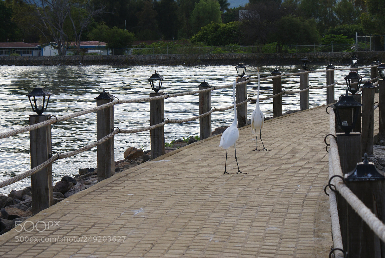 Sony DT 18-70mm F3.5-5.6 sample photo. Talk to... photography