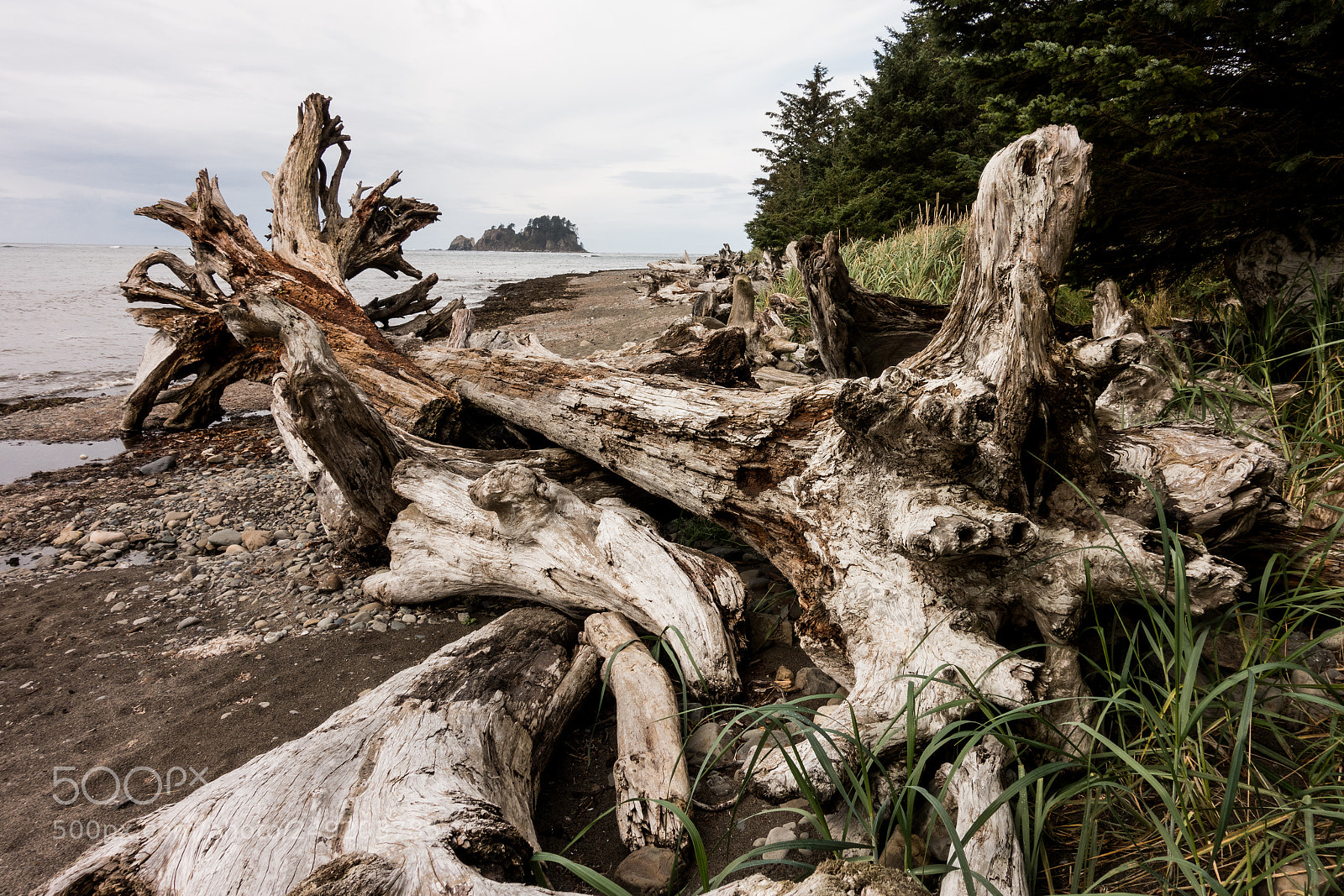 Sony Cyber-shot DSC-RX100 IV sample photo. Ozette beach - olympic photography