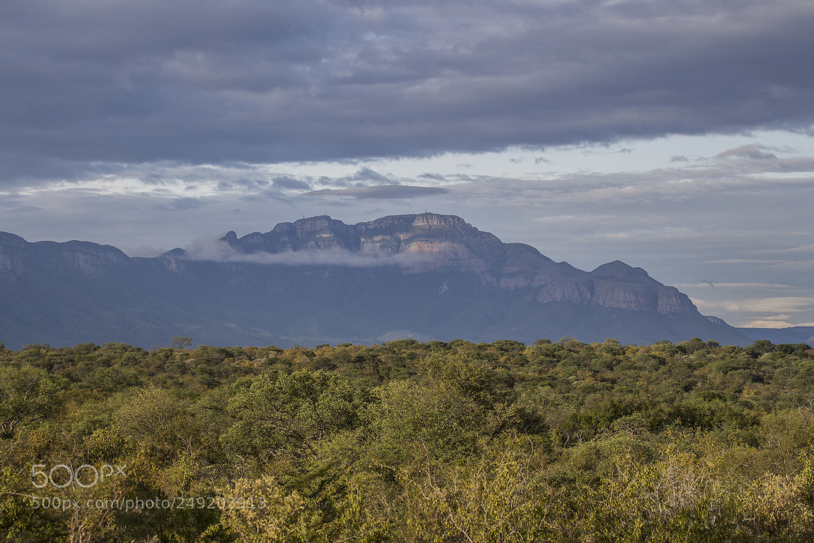 Canon EOS 700D (EOS Rebel T5i / EOS Kiss X7i) sample photo. Africasul photography