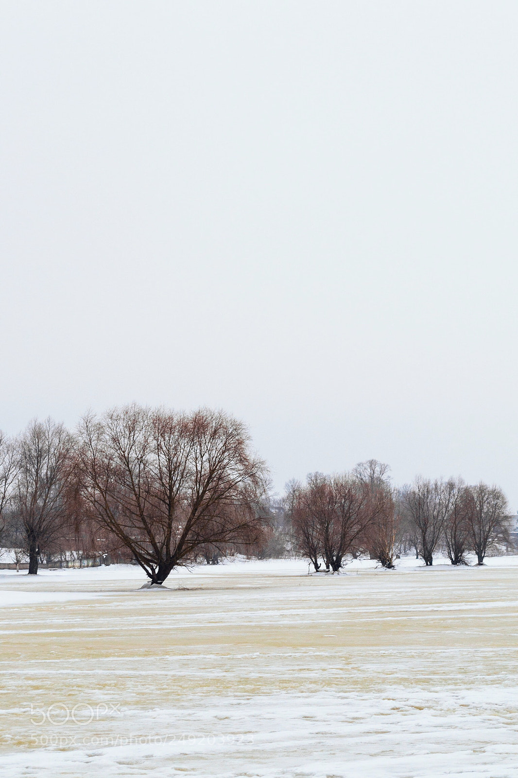Nikon D3100 sample photo. Ranks photography