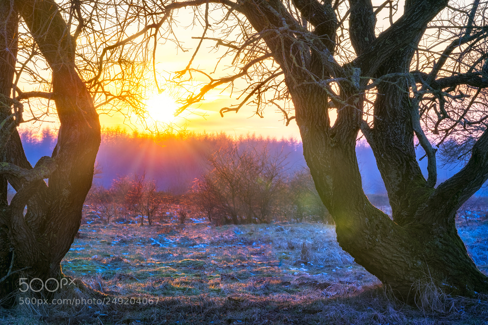 Sony a7R III sample photo. Dream photography