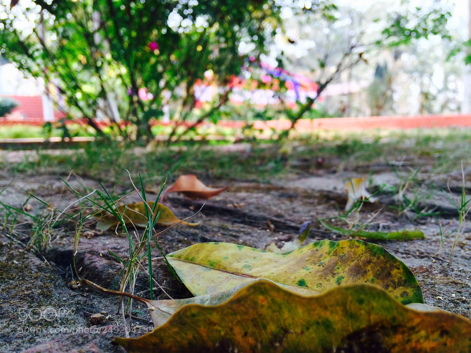 Apple iPhone 5s sample photo. Eafdde fa acd photography